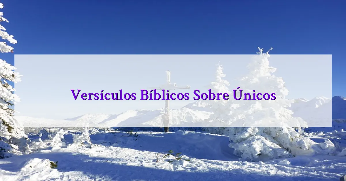 Versículos Bíblicos Sobre Únicos