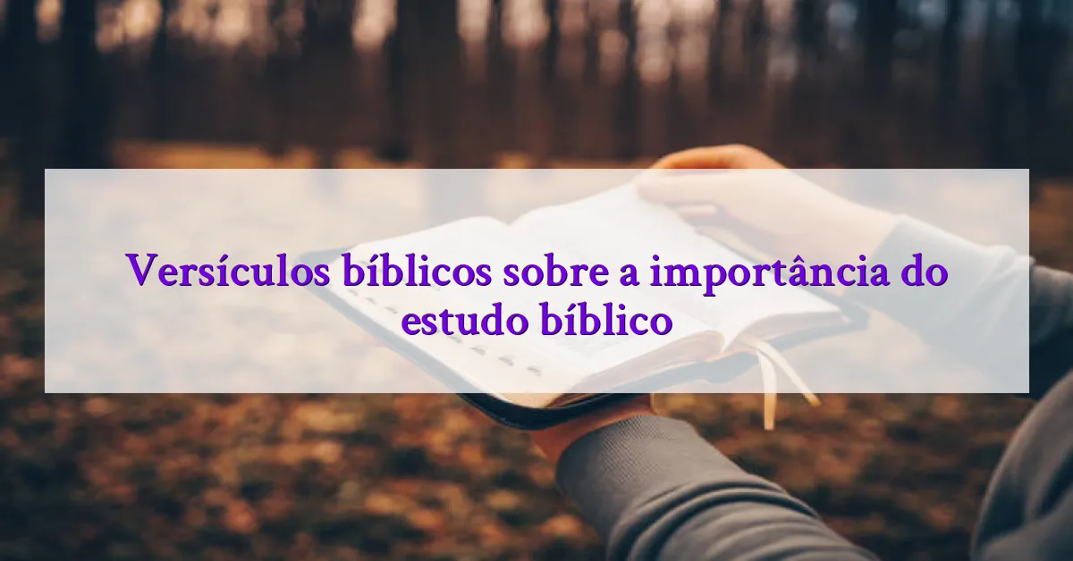 Versículos bíblicos sobre a importância do estudo bíblico