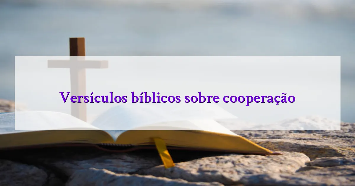 Versículos bíblicos sobre cooperação