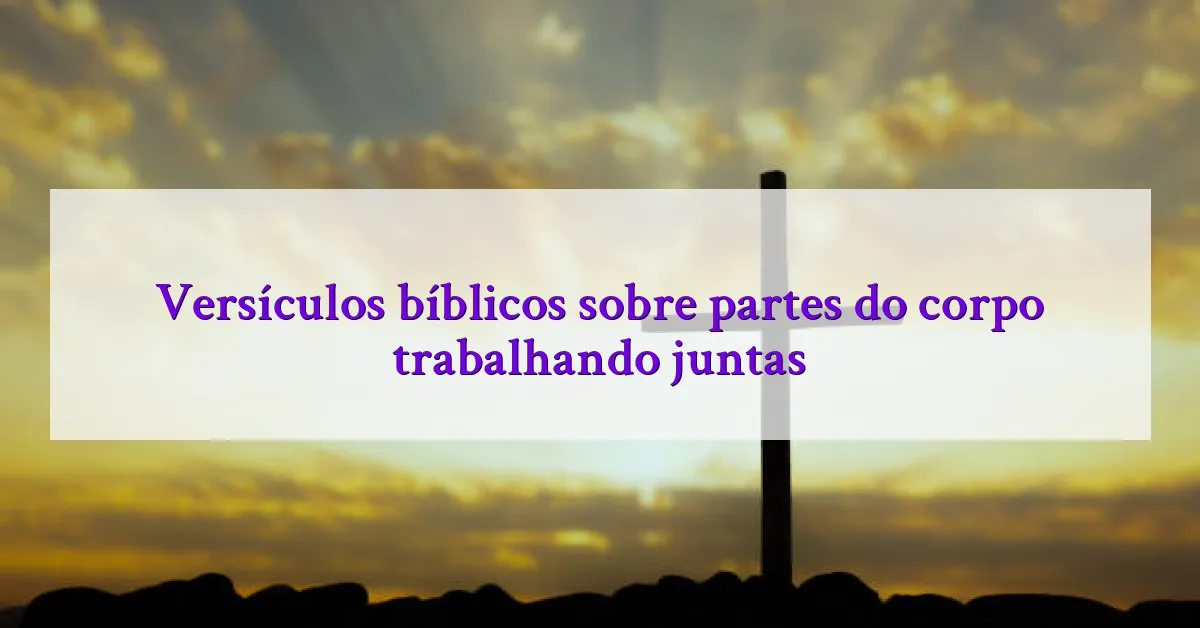 Versículos bíblicos sobre partes do corpo trabalhando juntas