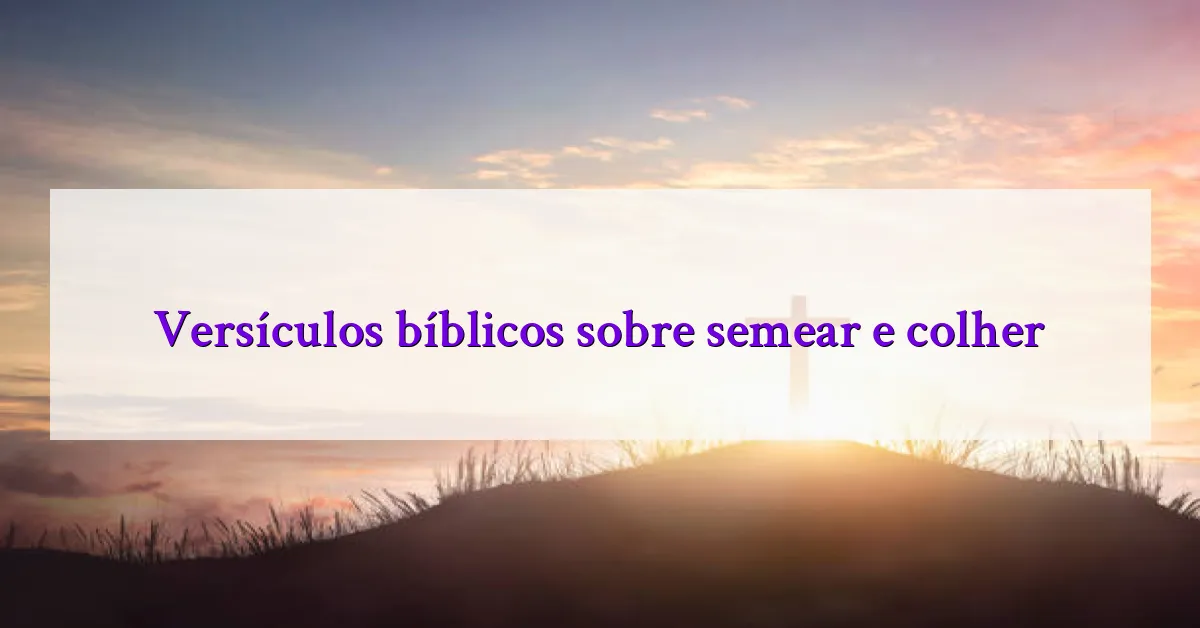 Versículos bíblicos sobre semear e colher