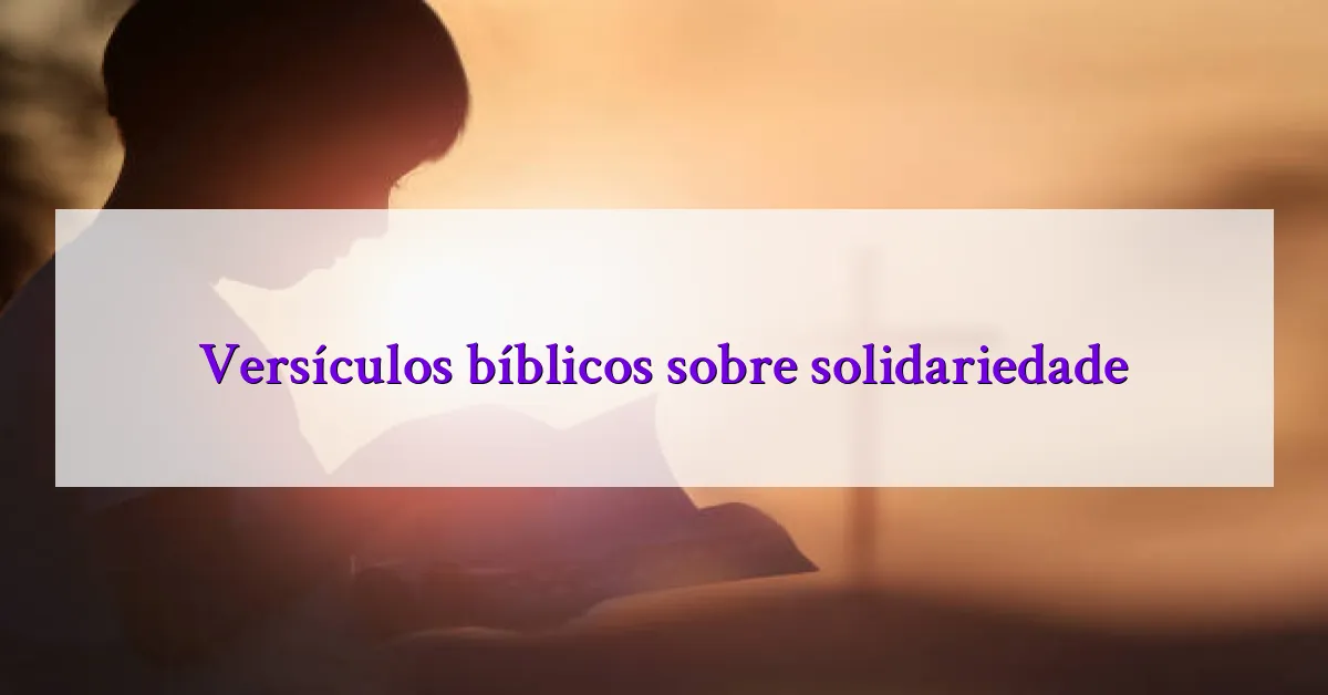Versículos bíblicos sobre solidariedade