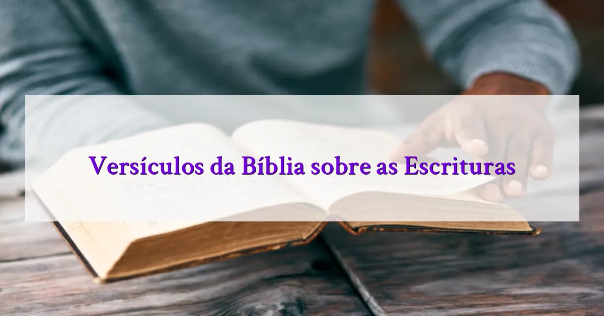 Versículos da Bíblia sobre as Escrituras