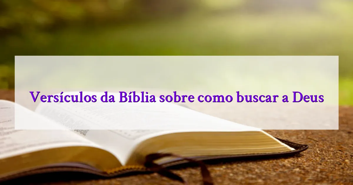 Versículos da Bíblia sobre como buscar a Deus