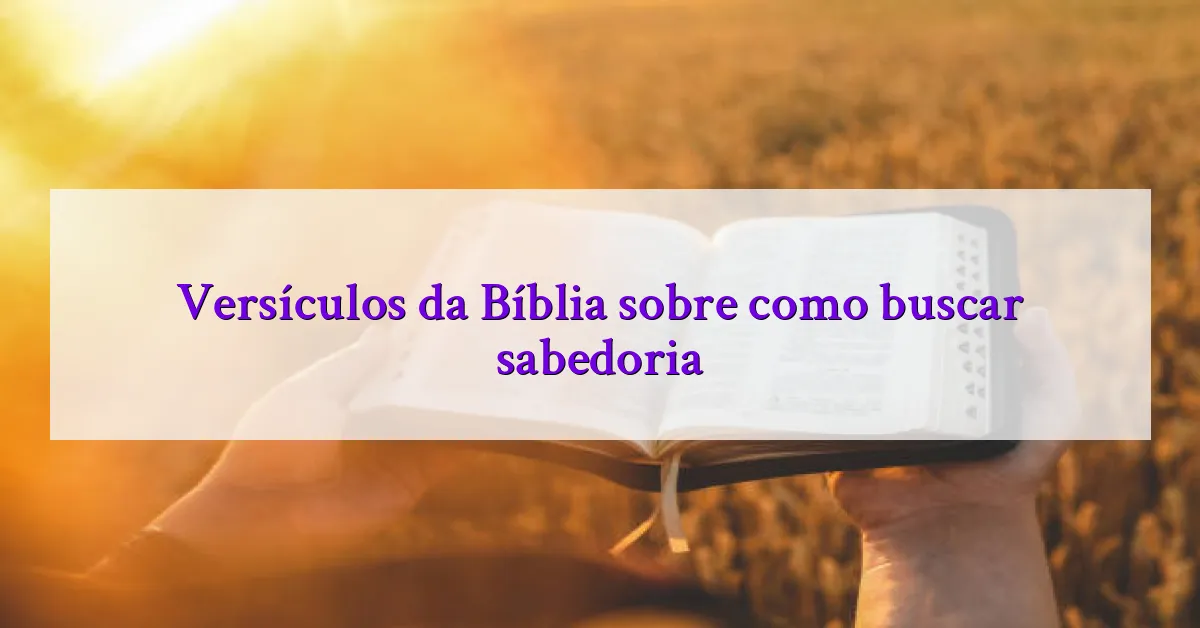 Versículos da Bíblia sobre como buscar sabedoria