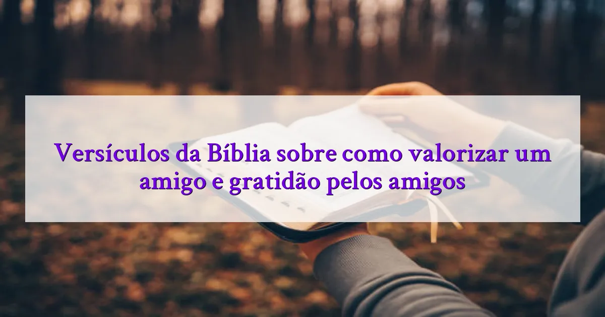 Versículos da Bíblia sobre como valorizar um amigo e gratidão pelos amigos