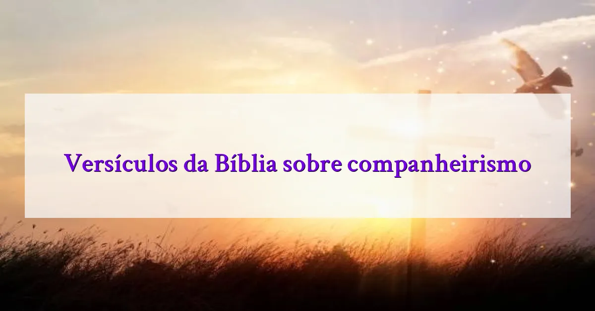Versículos da Bíblia sobre companheirismo