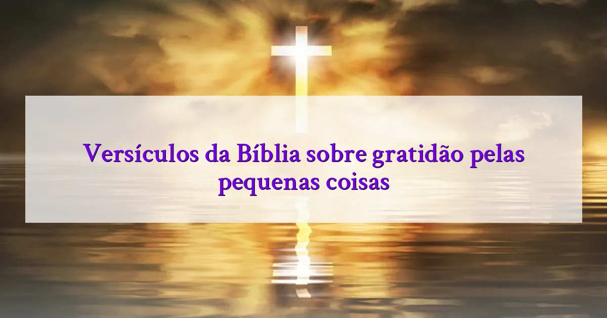 Versículos da Bíblia sobre gratidão pelas pequenas coisas