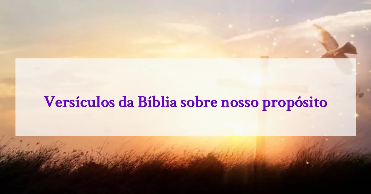 Versículos da Bíblia sobre nosso propósito