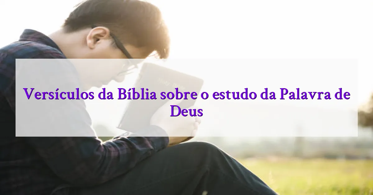 Versículos da Bíblia sobre o estudo da Palavra de Deus
