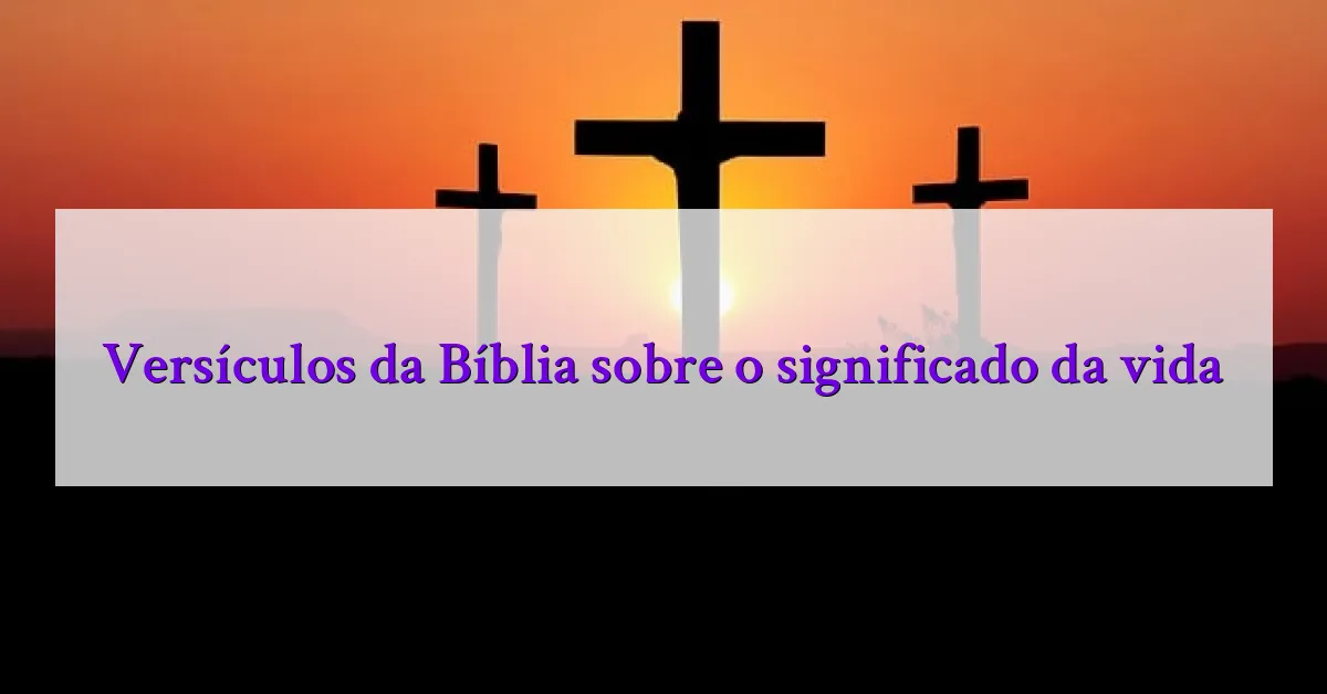 Versículos da Bíblia sobre o significado da vida