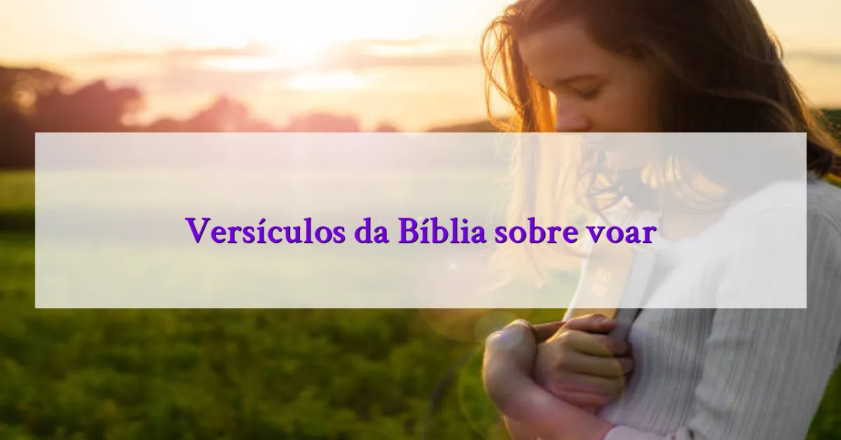Versículos da Bíblia sobre voar